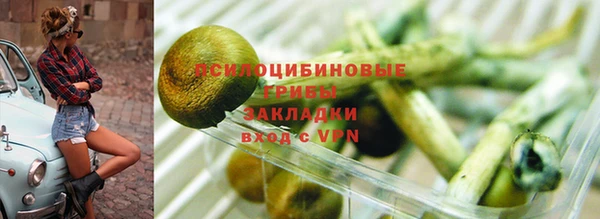 таблы Алексин