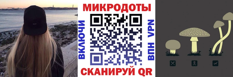 ссылка на мегу ONION  Новозыбков  Псилоцибиновые грибы ЛСД  наркота 