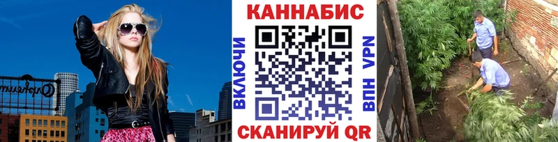 Каннабис сатива  Новозыбков 